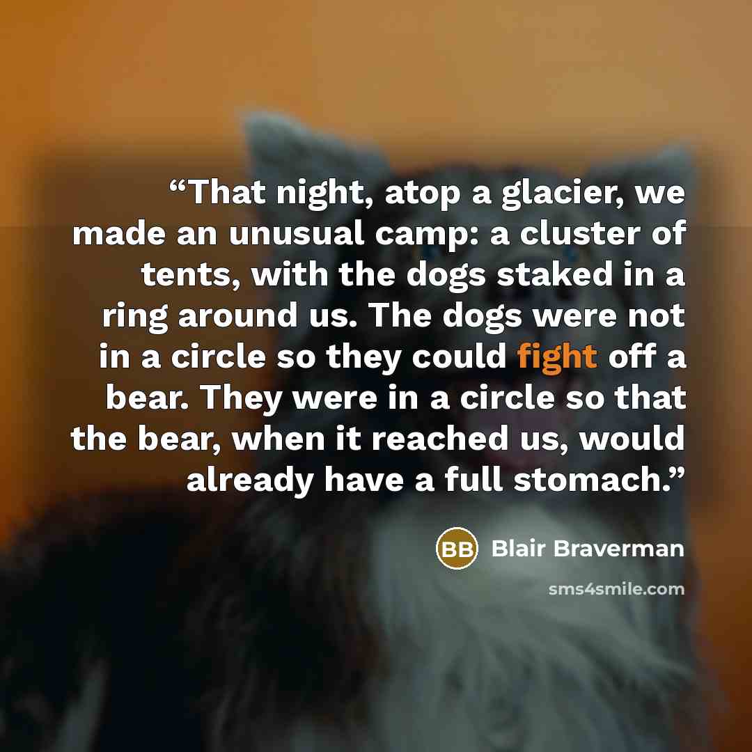 “That night, atop a glacier, we made an unusual camp: a cluster of tents, with the dogs staked in a ring around us. The dogs were not in a circle so they could fight off a bear. They were in a circle so that the bear, when it reached us, would already have a full stomach.” quote by Blair Braverman