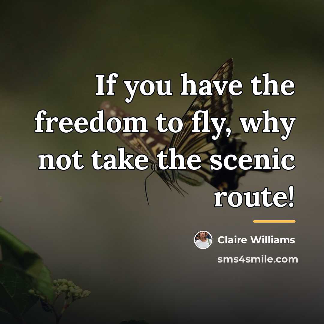 “If you have the freedom to fly, why not take…” quote by Claire Williams