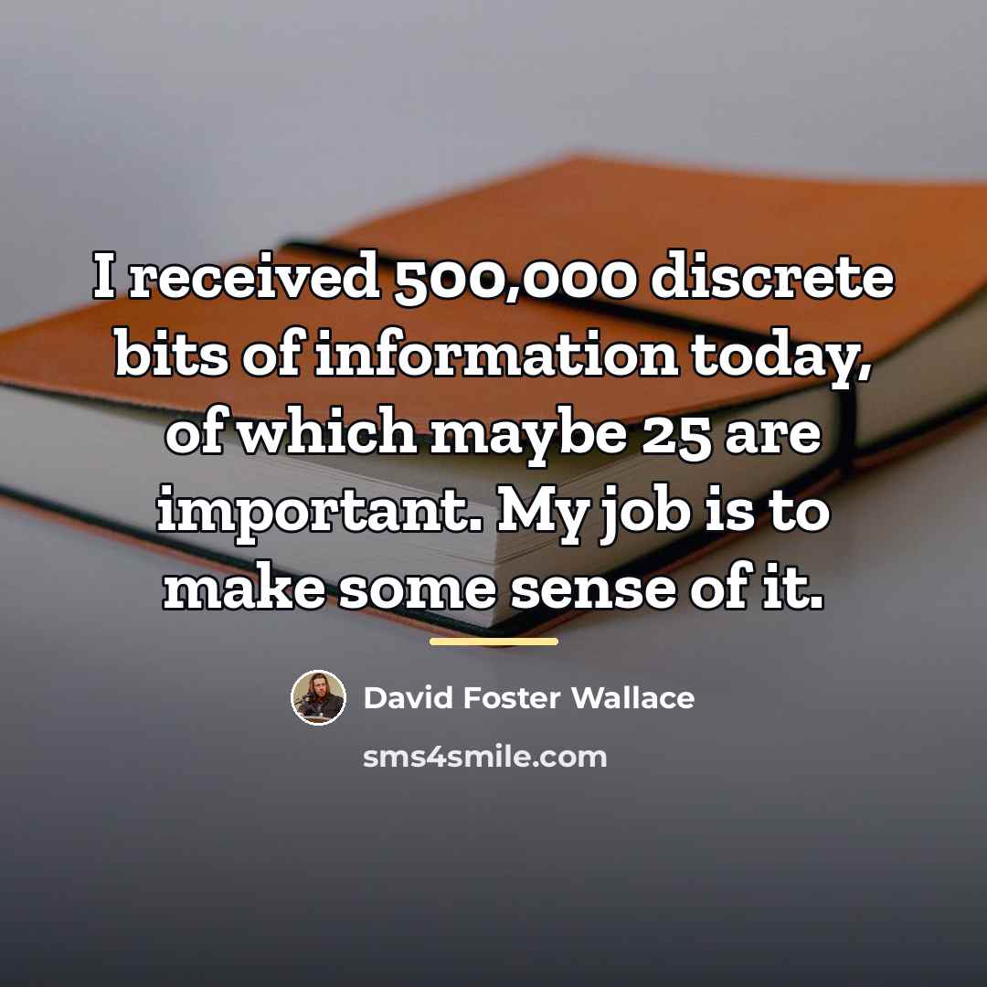 “I received 500,000 discrete bits of information today, of which…” quote by David Foster Wallace