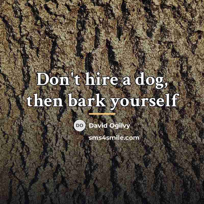 “Don't hire a dog, then bark yourself…” quote by David Ogilvy