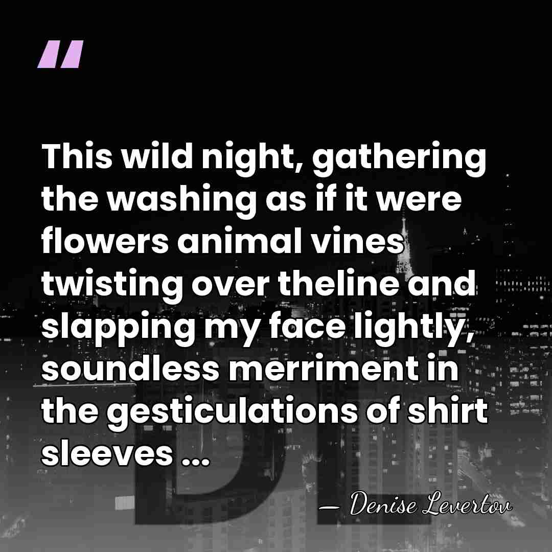 This wild night, gathering the washing as if it were flowers animal&hellip; - Denise Levertov
