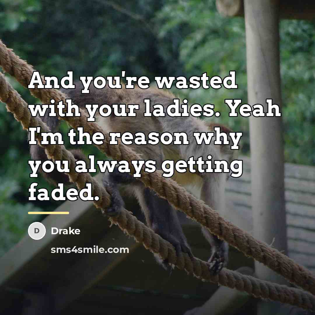 “And you're wasted with your ladies. Yeah I'm the reason…” quote by Drake
