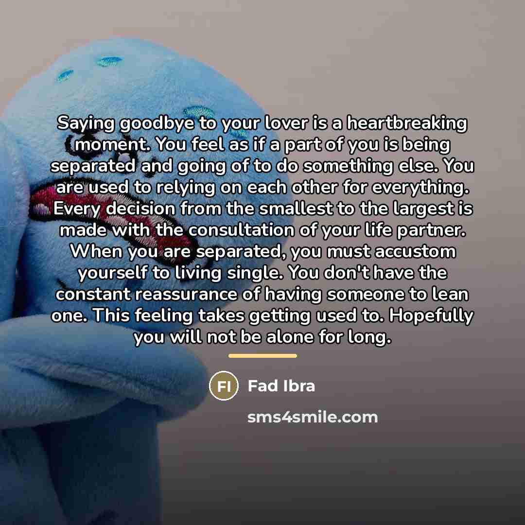 “Saying goodbye to your lover is a heartbreaking moment. You…” quote by Fad Ibra