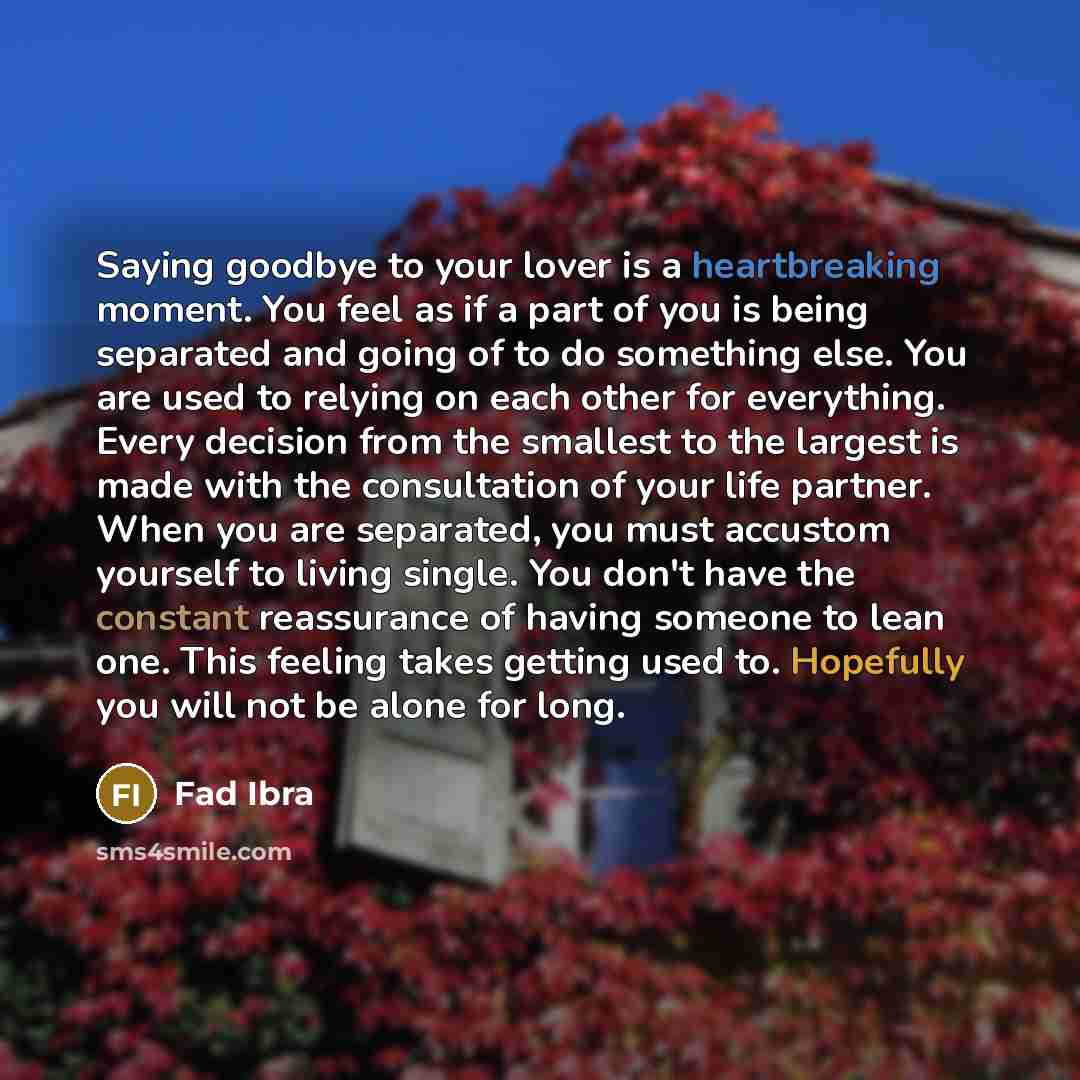 “Saying goodbye to your lover is a heartbreaking moment. You feel as if a part of you is being separated and going of to do something else. You are used to relying on each other for everything. Every decision from the smallest to the largest is made with the consultation of your life partner. When…” quote by Fad Ibra