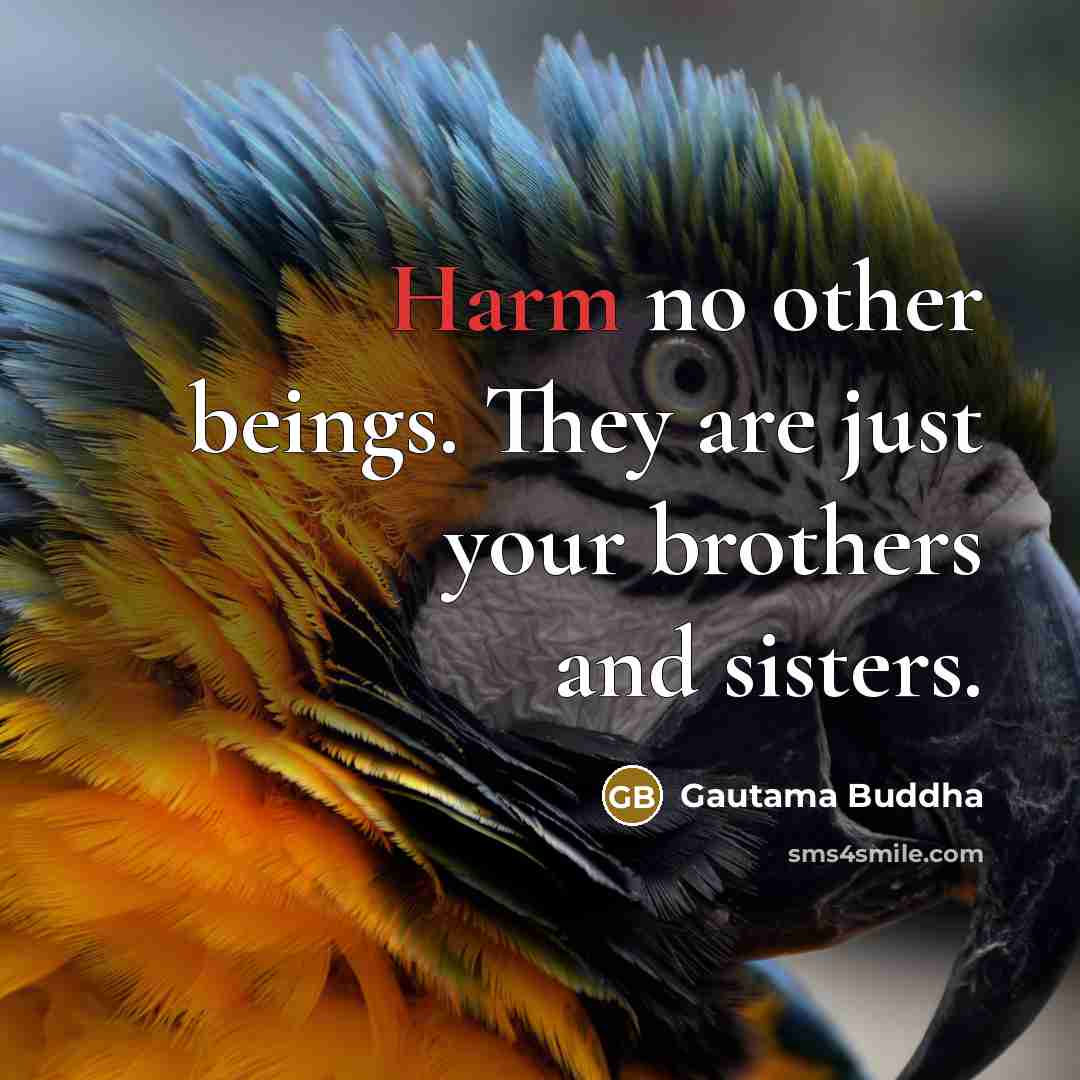 “Harm no other beings. They are just your brothers and…” quote by Gautama Buddha