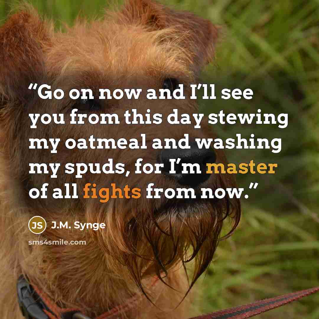 “Go on now and I’ll see you from this day stewing my oatmeal and washing my spuds, for I’m master of all fights from now.” quote by J.M. Synge