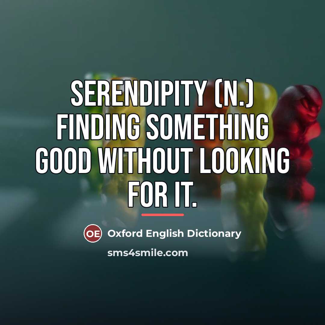 “Serendipity (n.) Finding something good without looking for it.…” quote by Oxford English Dictionary