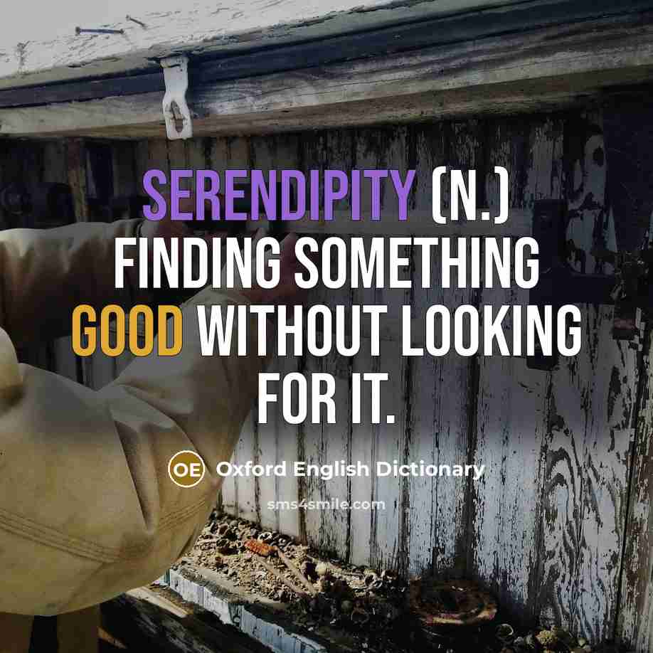 “Serendipity (n.) Finding something good without looking for it.” quote by Oxford English Dictionary