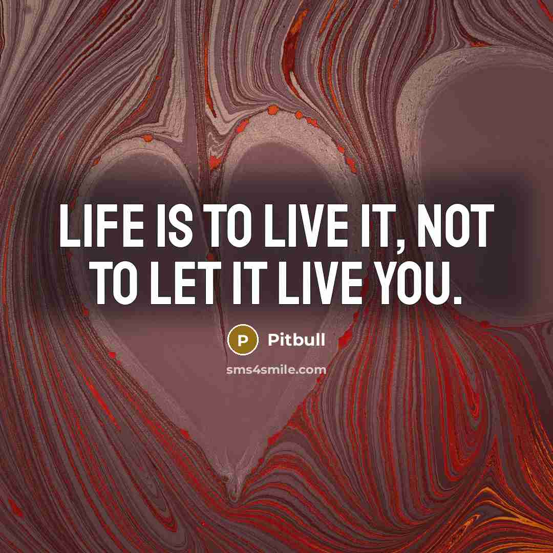 “Life is to live it, not to let it live…” quote by Pitbull
