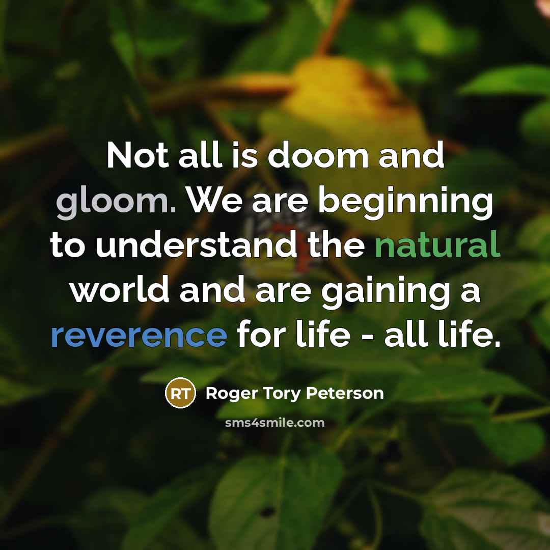 “Not all is doom and gloom. We are beginning to…” quote by Roger Tory Peterson