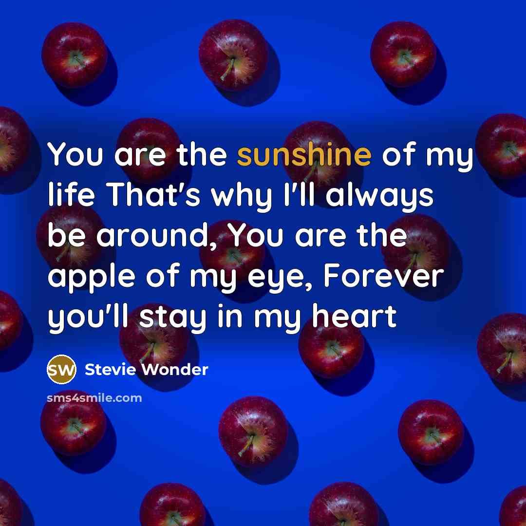 “You are the sunshine of my life That's why I'll…” quote by Stevie Wonder