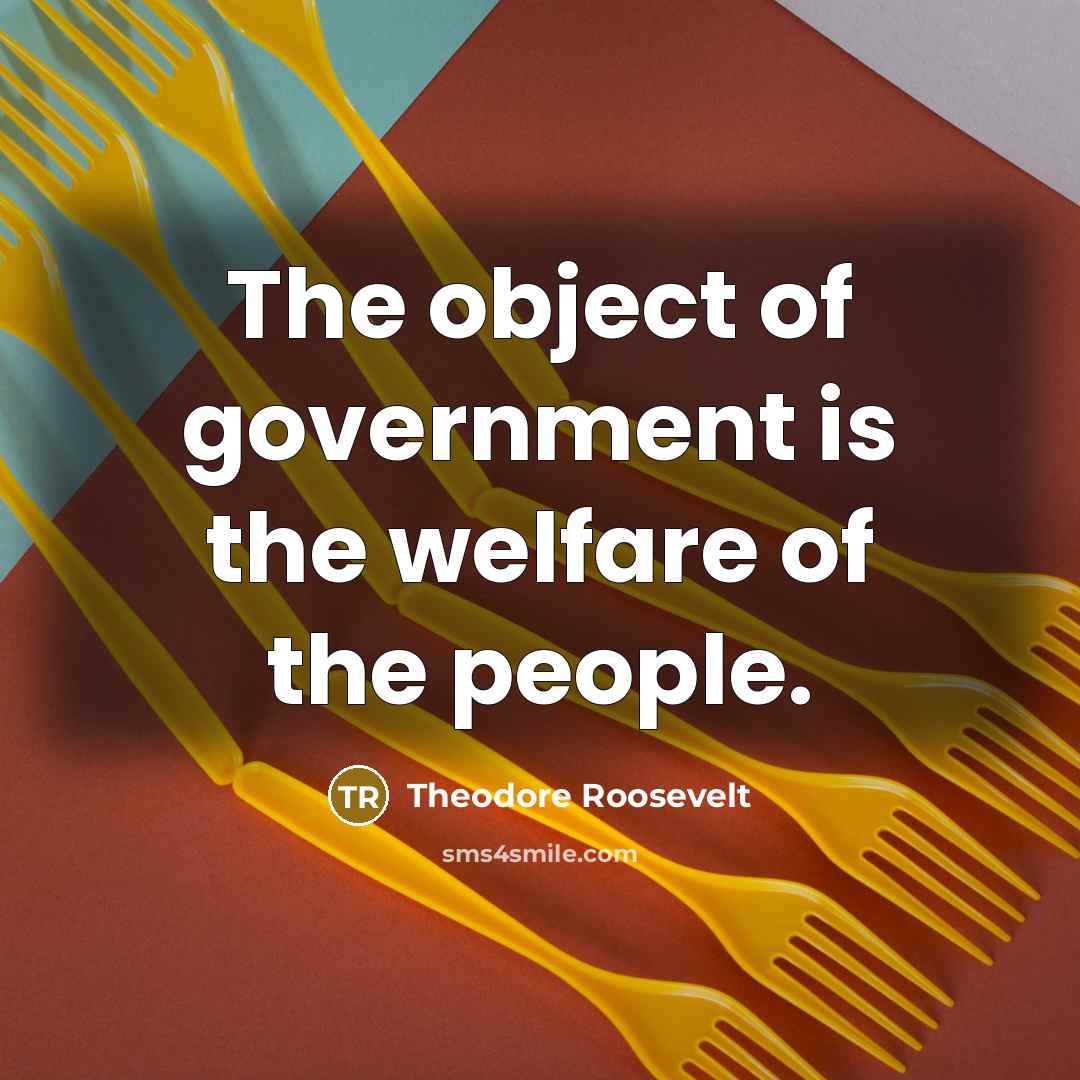 “The object of government is the welfare of the people.…” quote by Theodore Roosevelt
