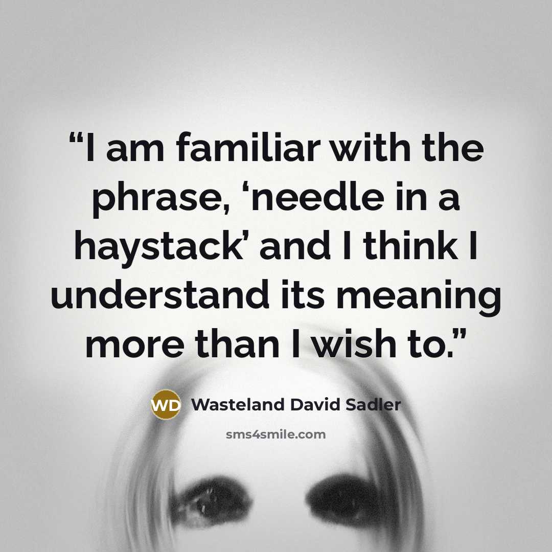 “I am familiar with the phrase, ‘needle in a haystack’ and I think I understand its meaning more than I wish to.” quote by Wasteland David Sadler