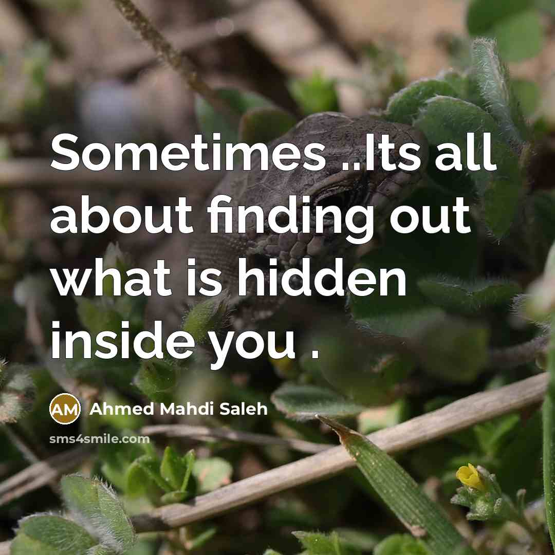 “Sometimes ..Its all about finding out what is hidden inside…” quote by Ahmed Mahdi Saleh