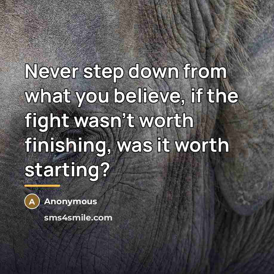 “Never step down from what you believe, if the fight…” quote by Anonymous