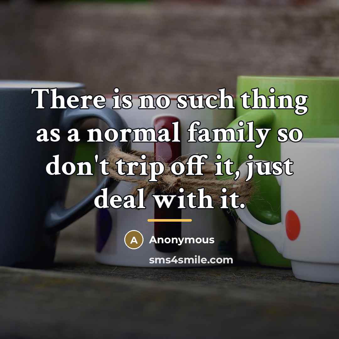“There is no such thing as a normal family so…” quote by Anonymous