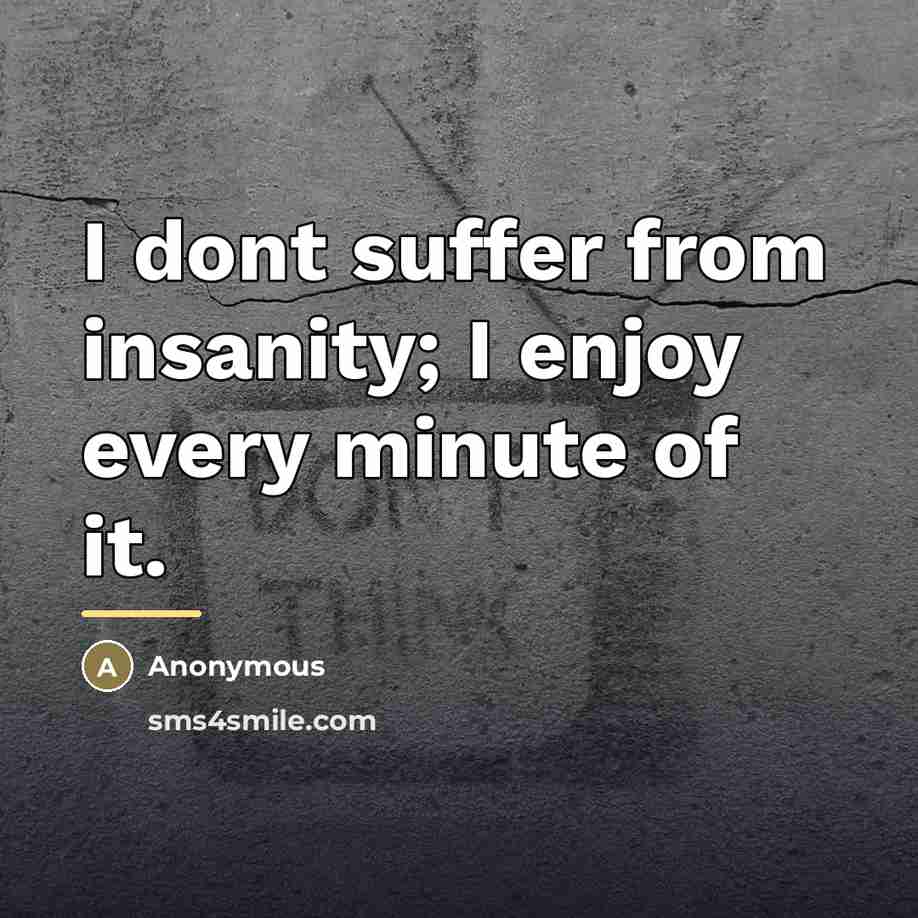 “I dont suffer from insanity; I enjoy every minute of…” quote by Anonymous
