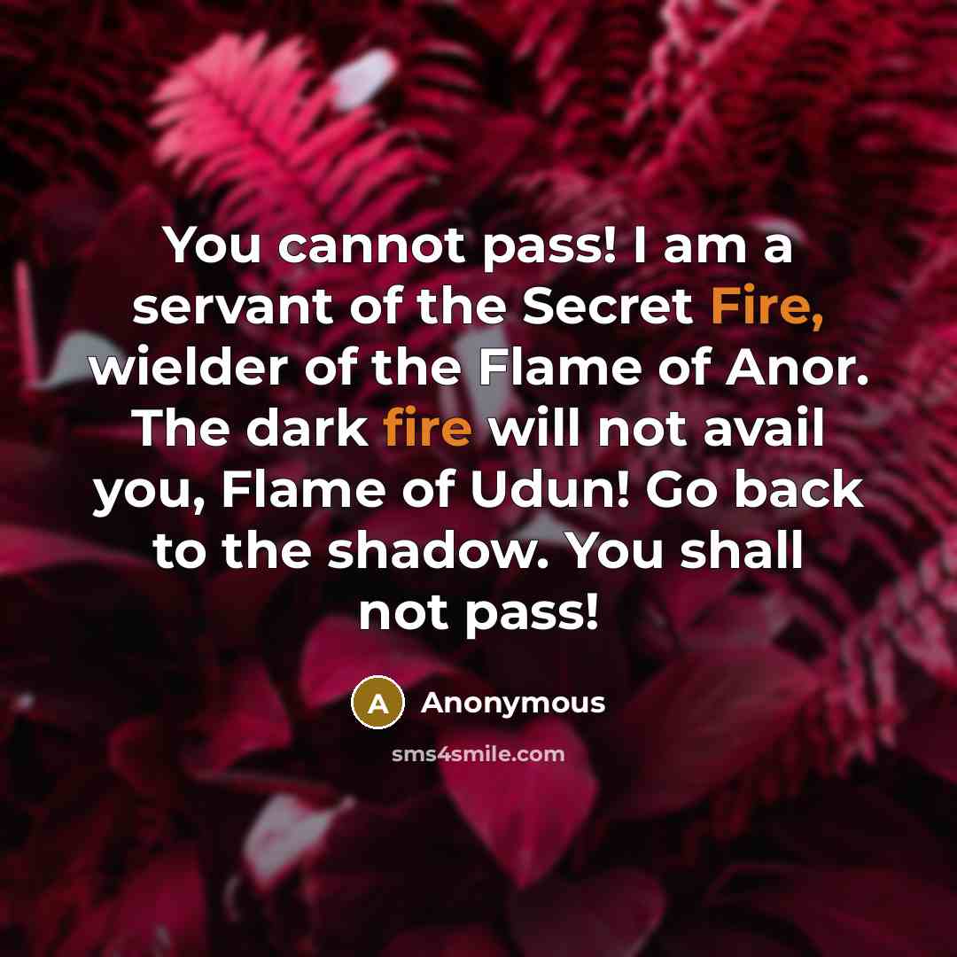 “You cannot pass! I am a servant of the Secret…” quote by Anonymous
