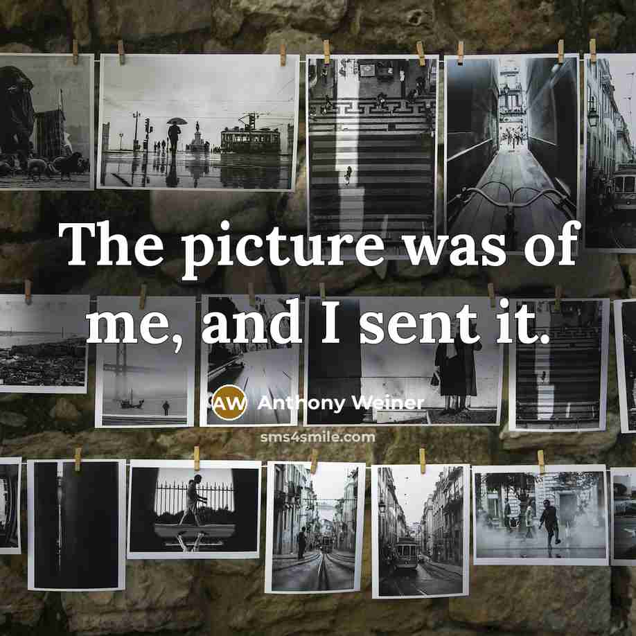 “The picture was of me, and I sent it.…” quote by Anthony Weiner
