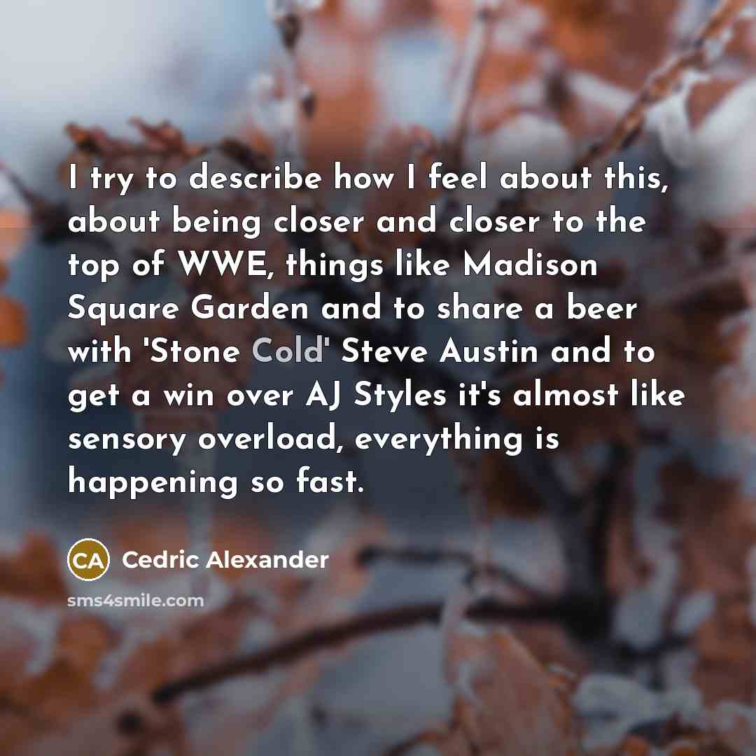 “I try to describe how I feel about this, about…” quote by Cedric Alexander