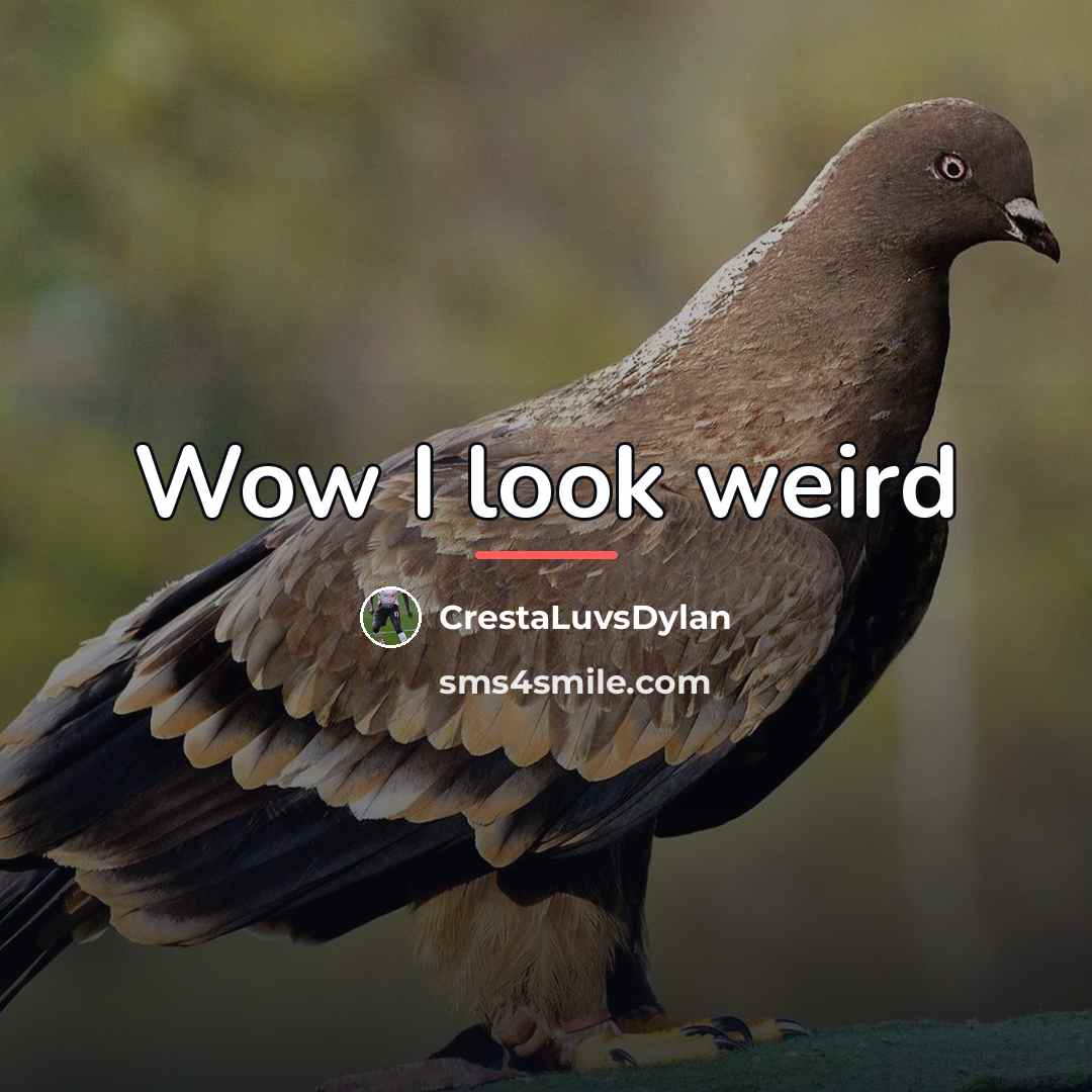 “Wow I look weird…” quote by CrestaLuvsDylan