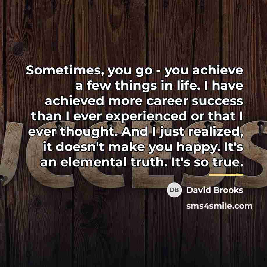 “Sometimes, you go - you achieve a few things in…” quote by David Brooks