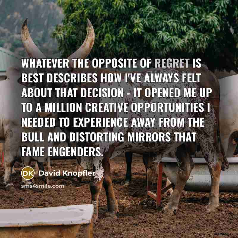 “Whatever the opposite of regret is best describes how I've…” quote by David Knopfler