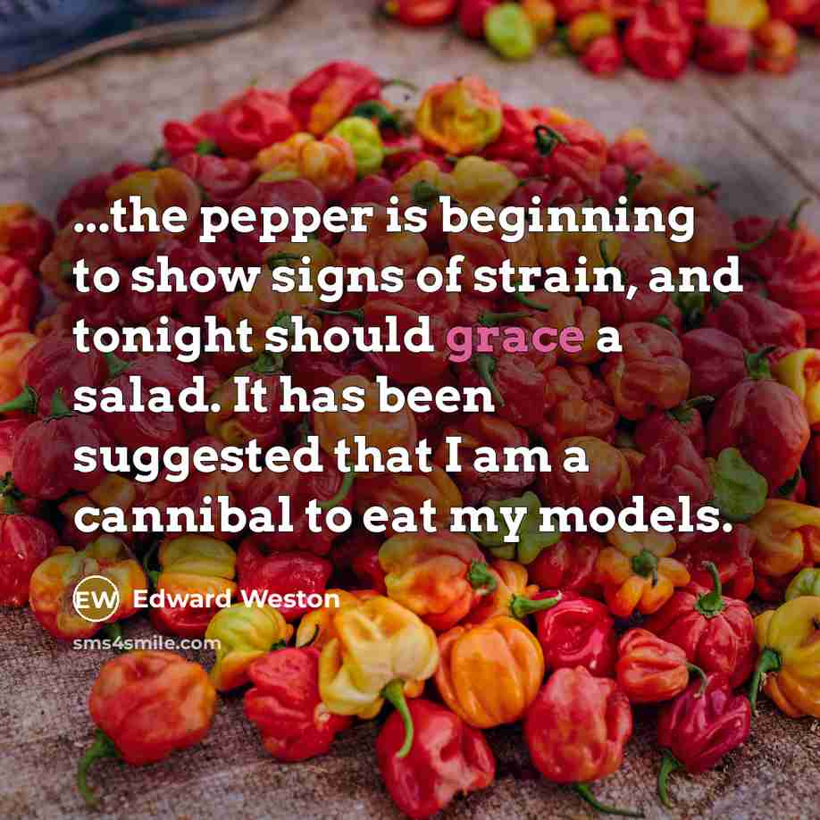 “...the pepper is beginning to show signs of strain, and…” quote by Edward Weston