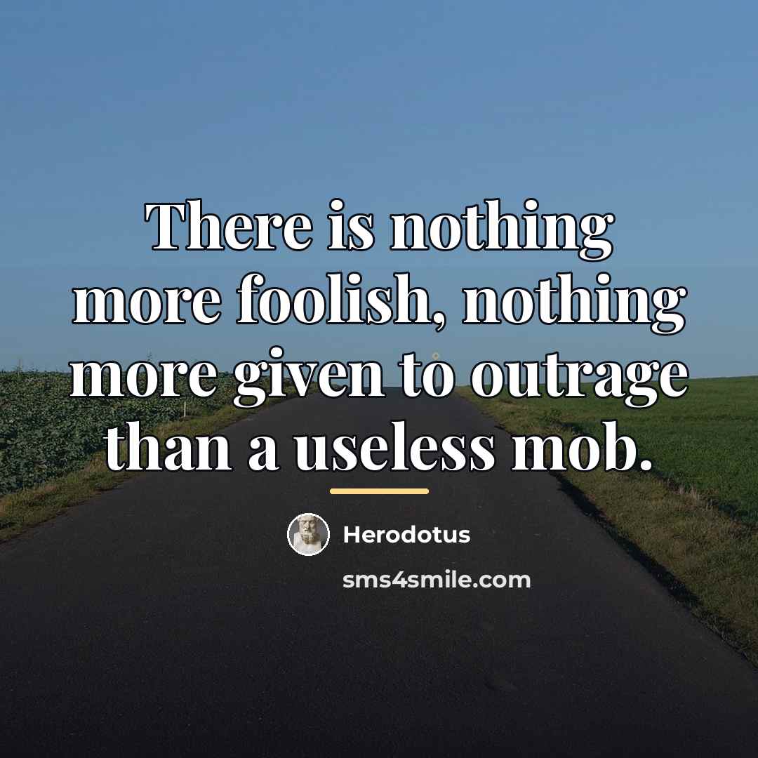 “There is nothing more foolish, nothing more given to outrage…” quote by Herodotus