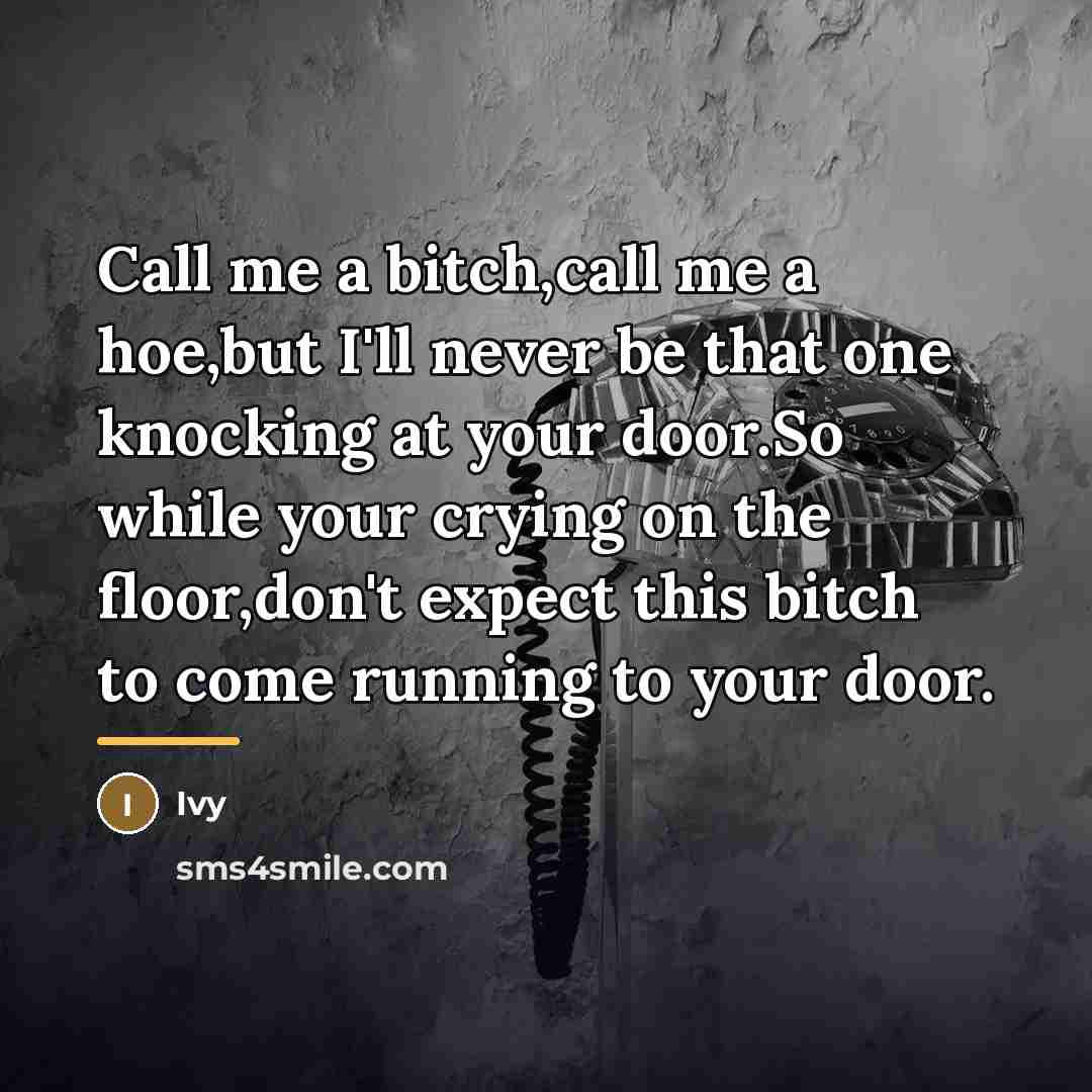“Call me a bitch,call me a hoe,but I'll never be…” quote by Ivy
