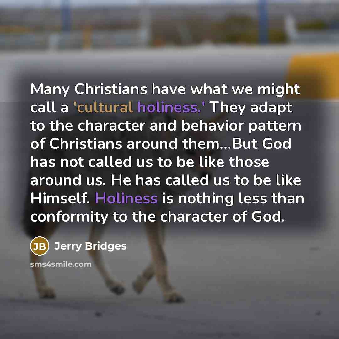“Many Christians have what we might call a 'cultural holiness.'…” quote by Jerry Bridges