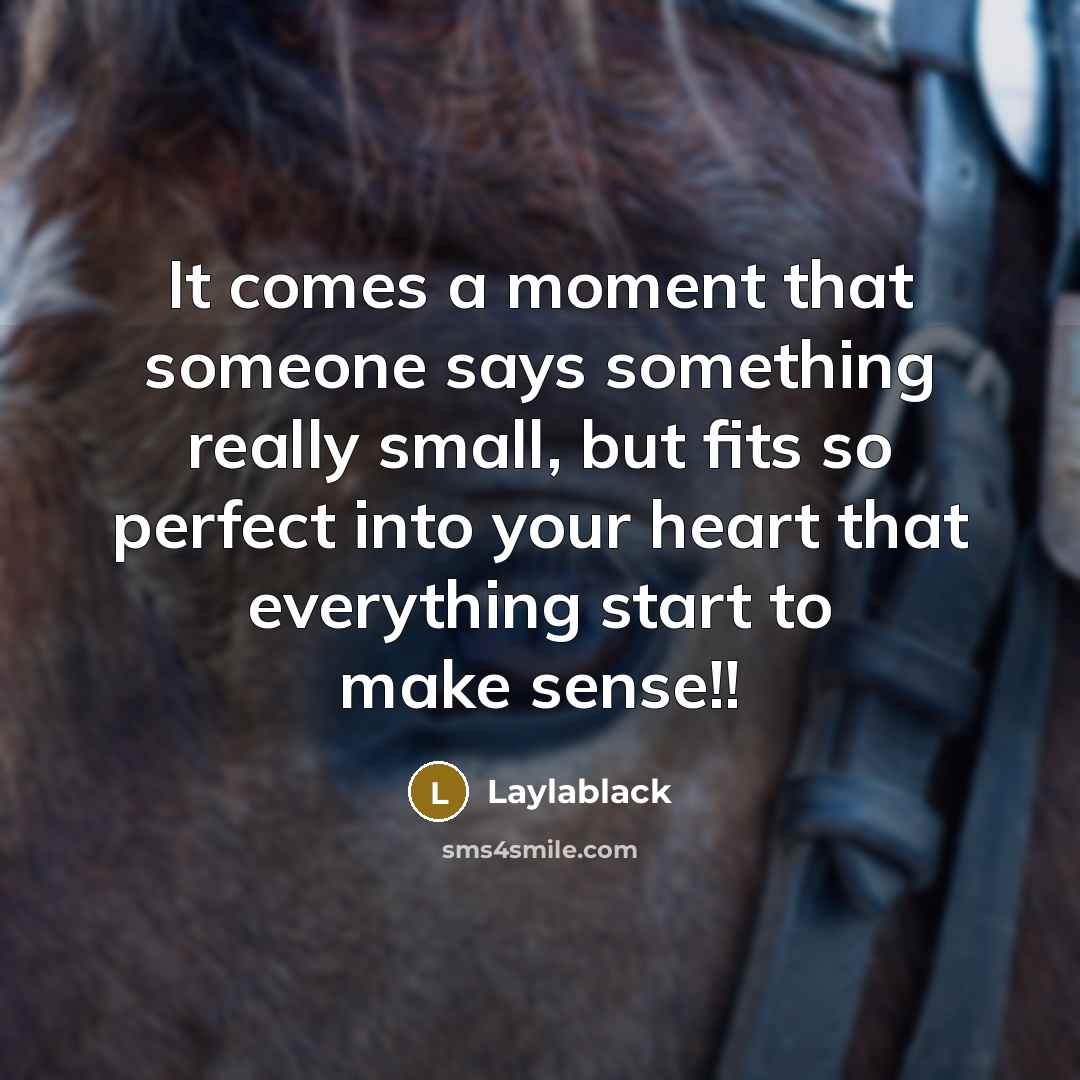“It comes a moment that someone says something really small,…” quote by Laylablack