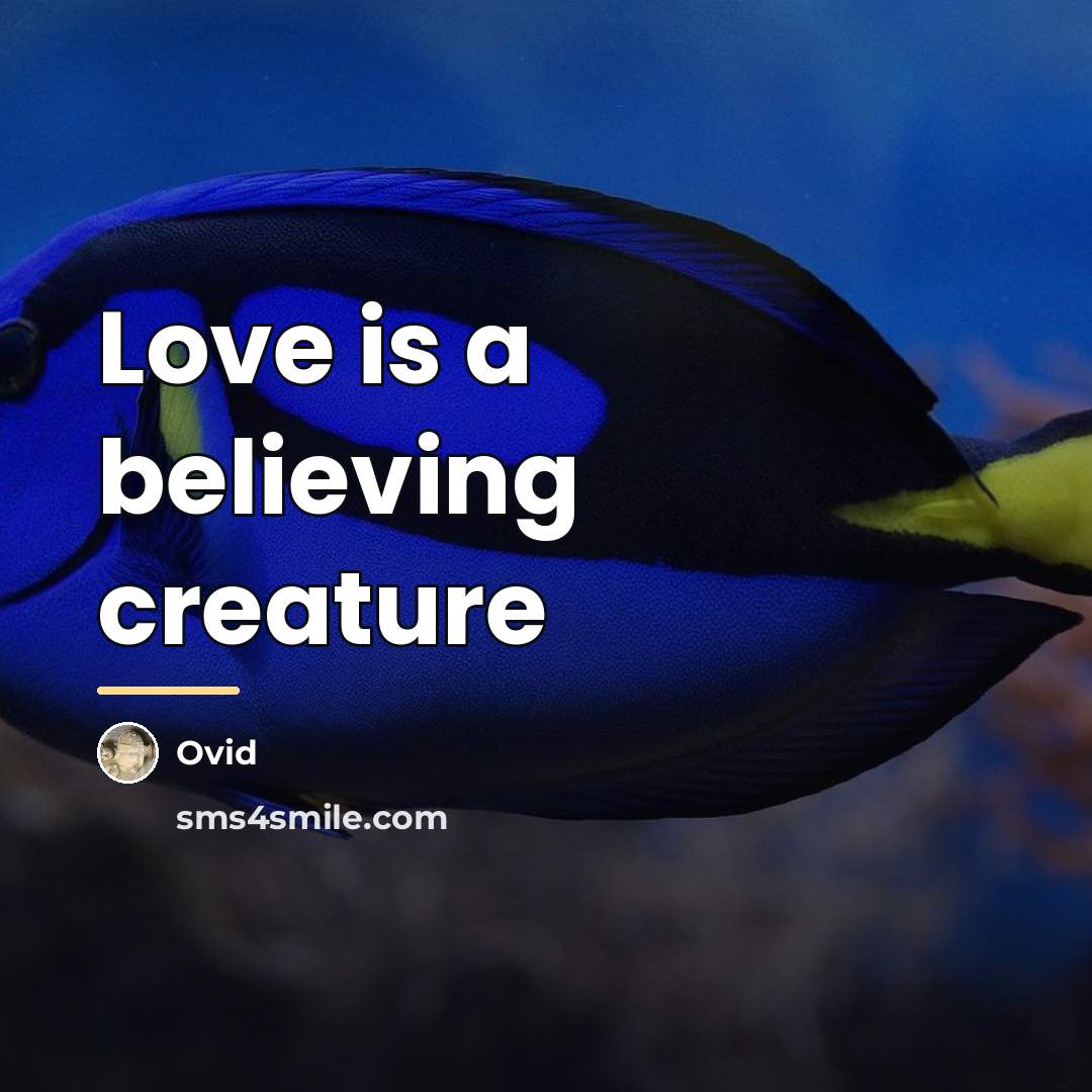 “Love is a believing creature…” quote by Ovid