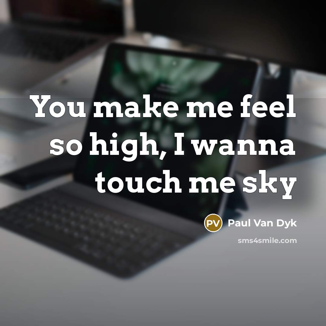 “You make me feel so high, I wanna touch me sky” quote by Paul Van Dyk