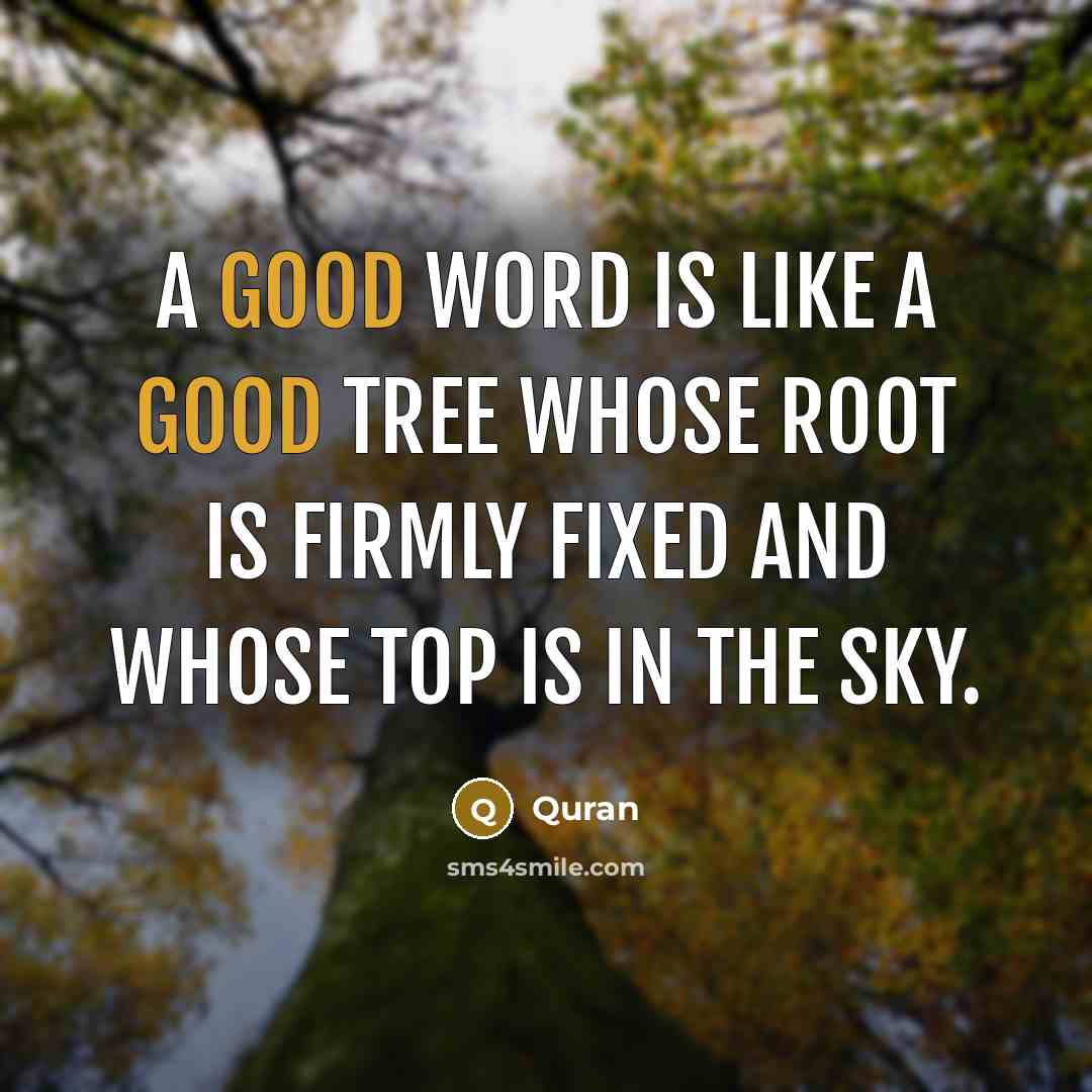 “A good word is like a good tree whose root is firmly fixed and whose top is in the sky.” quote by Quran