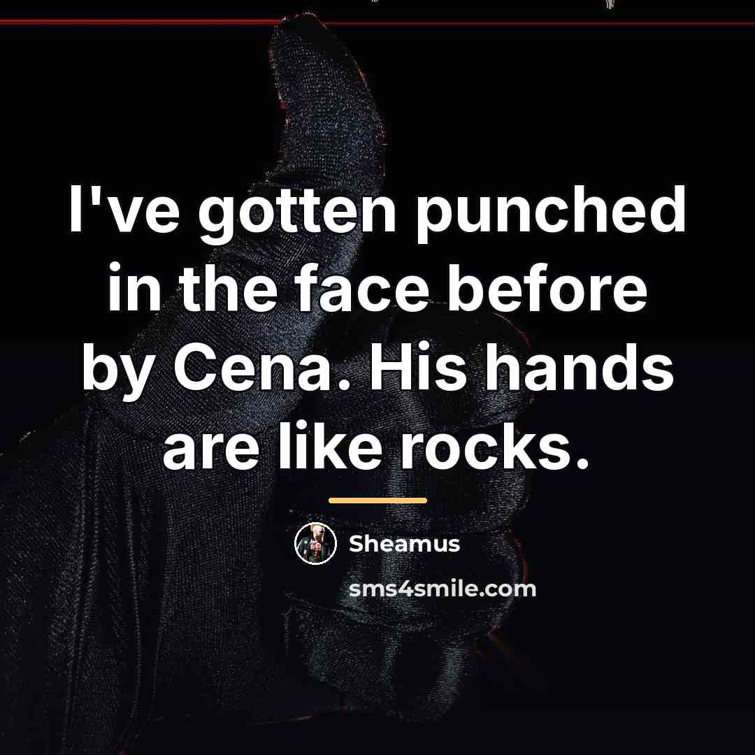“I've gotten punched in the face before by Cena. His…” quote by Sheamus