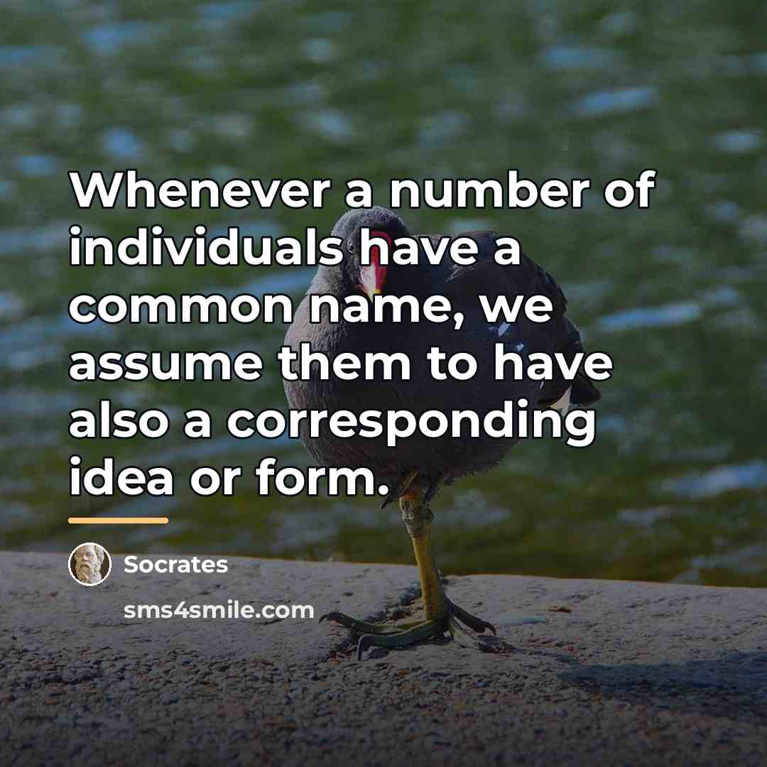 “Whenever a number of individuals have a common name, we…” quote by Socrates