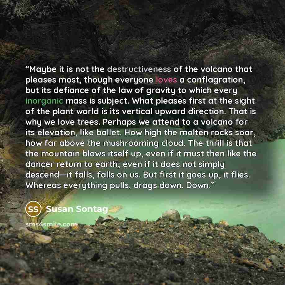 “Maybe it is not the destructiveness of the volcano that pleases most, though everyone loves a conflagration, but its defiance of the law of gravity to which every inorganic mass is subject. What pleases first at the sight of the plant world is its vertical upward direction. That is why we love…” quote by Susan Sontag