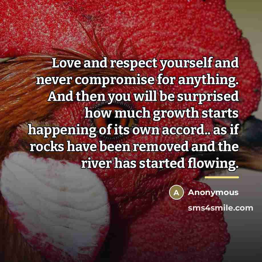 “Love and respect yourself and never compromise for anything. And…” quote by Anonymous