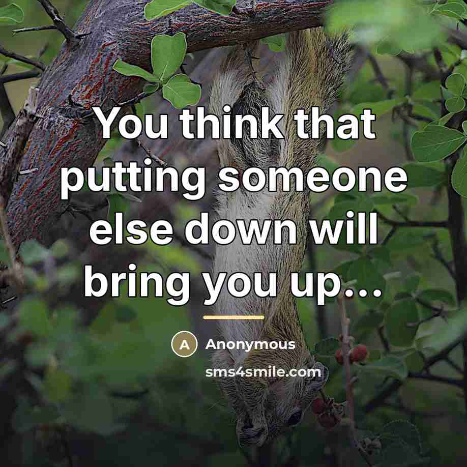 “You think that putting someone else down will bring you…” quote by Anonymous