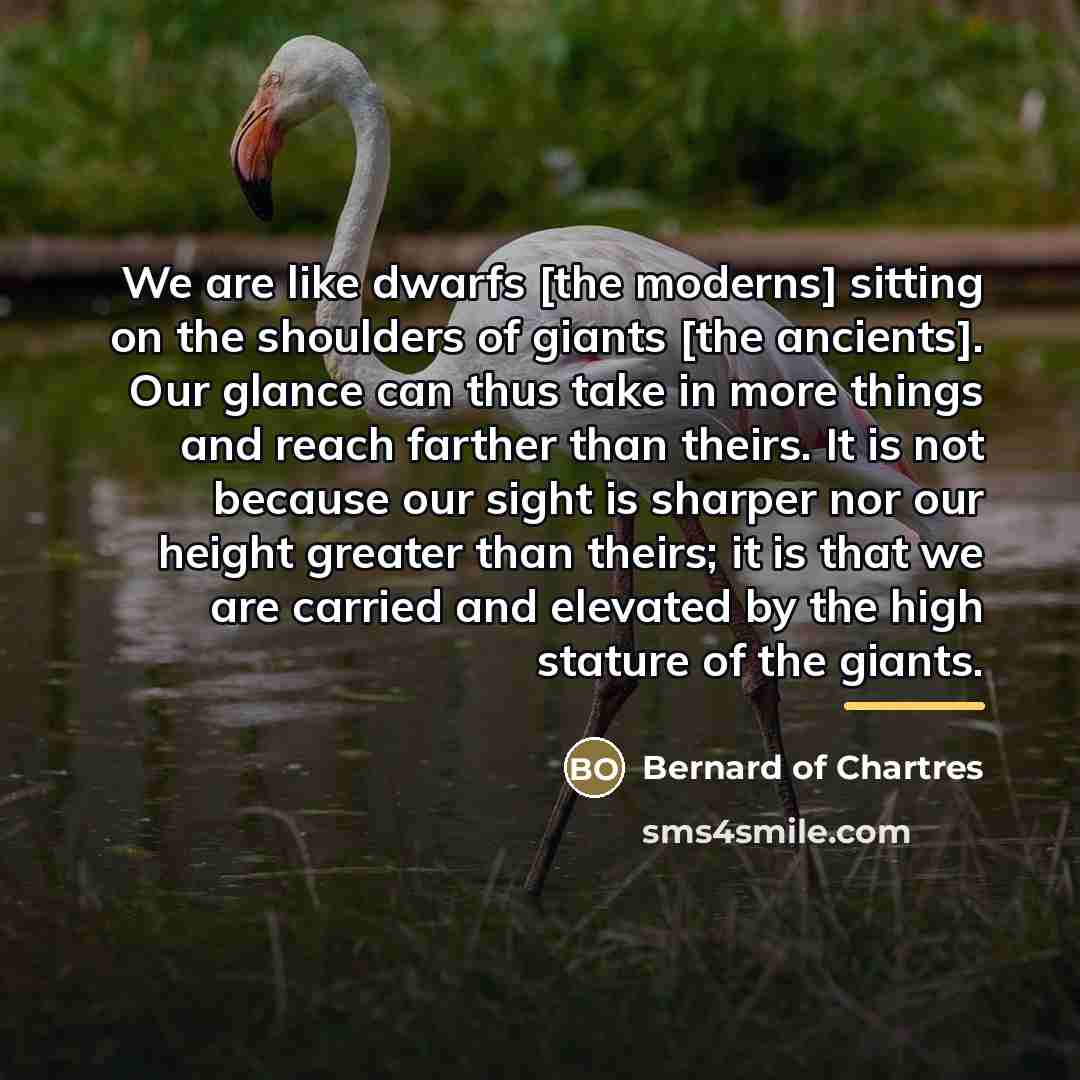 “We are like dwarfs [the moderns] sitting on the shoulders…” quote by Bernard of Chartres
