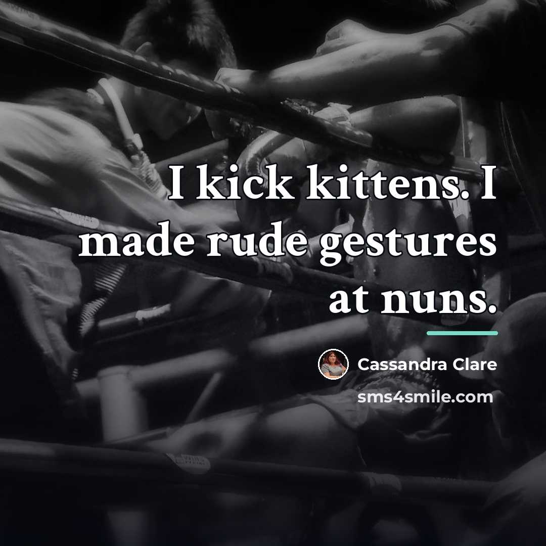 “I kick kittens. I made rude gestures at nuns.…” quote by Cassandra Clare