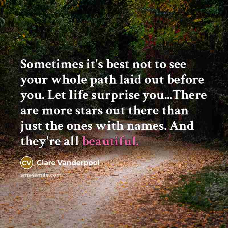 “Sometimes it's best not to see your whole path laid…” quote by Clare Vanderpool