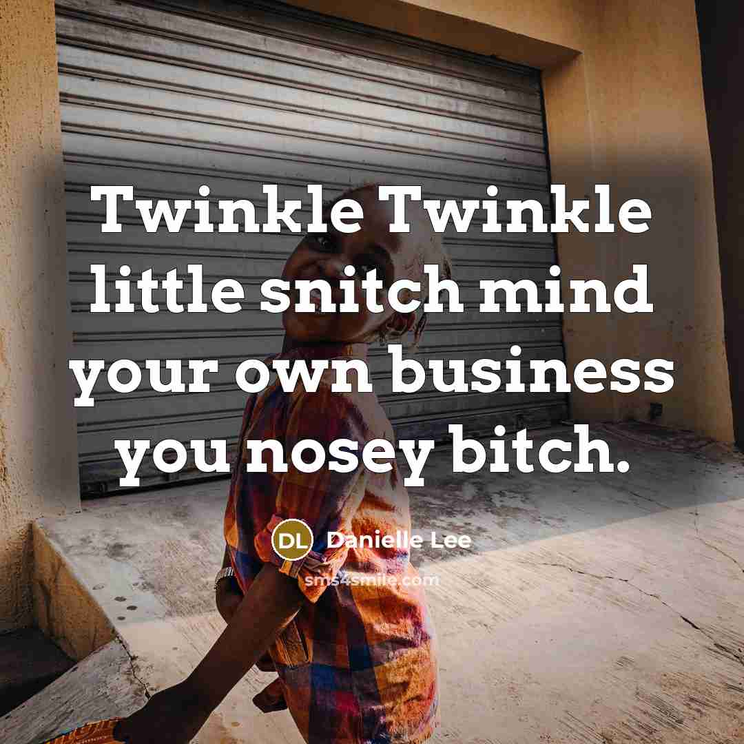 “Twinkle Twinkle little snitch mind your own business you nosey bitch.” quote by Danielle Lee