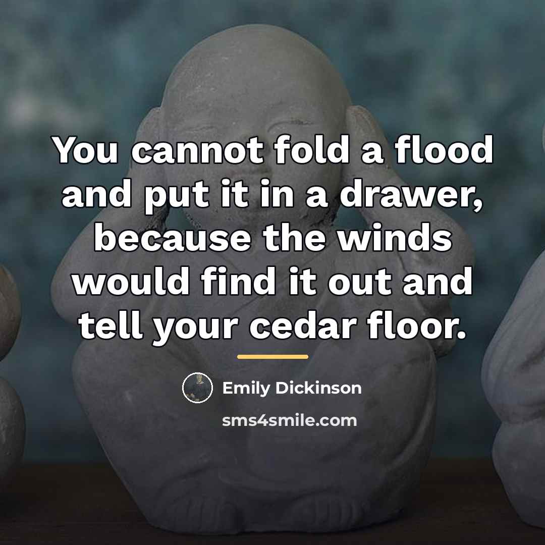 “You cannot fold a flood and put it in a…” quote by Emily Dickinson