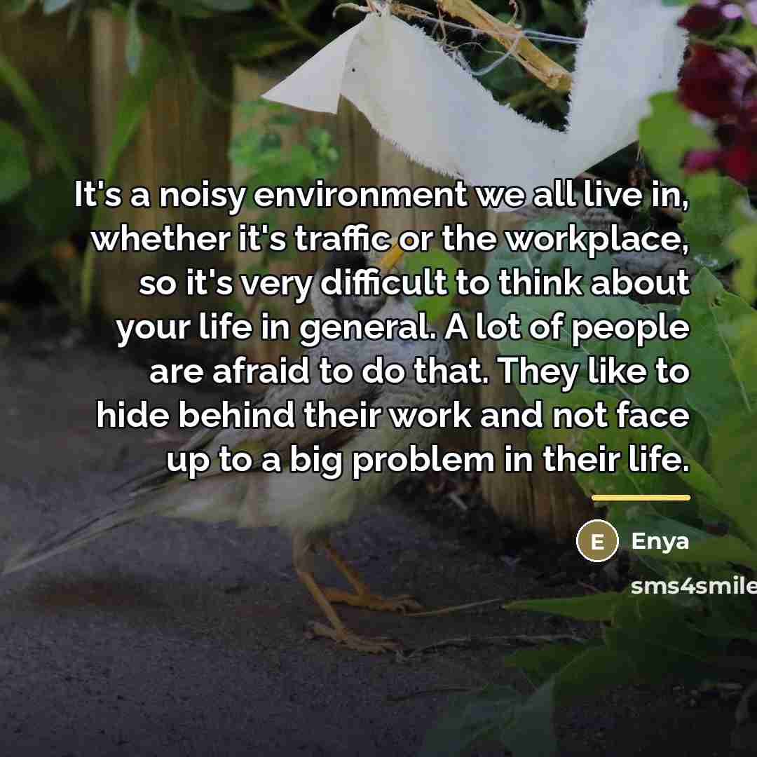 “It's a noisy environment we all live in, whether it's…” quote by Enya