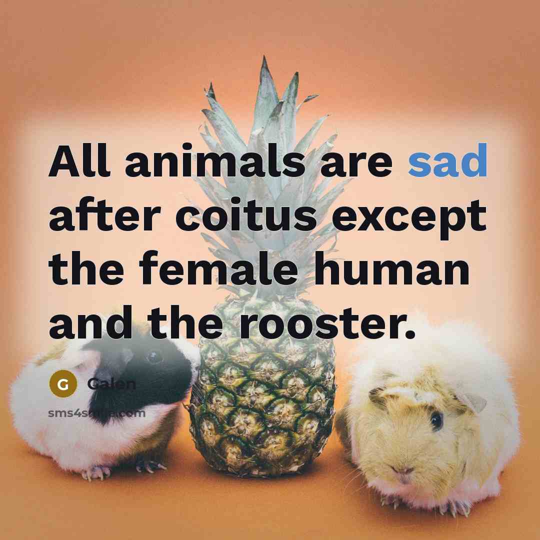 “All animals are sad after coitus except the female human…” quote by Galen