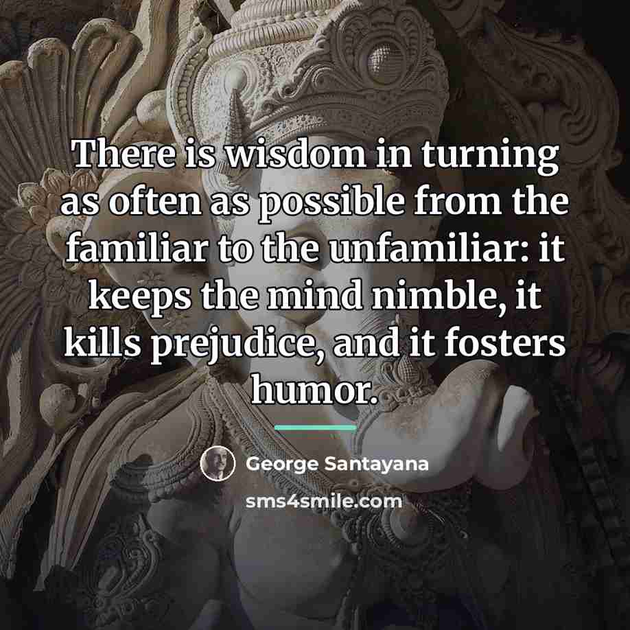 “There is wisdom in turning as often as possible from…” quote by George Santayana
