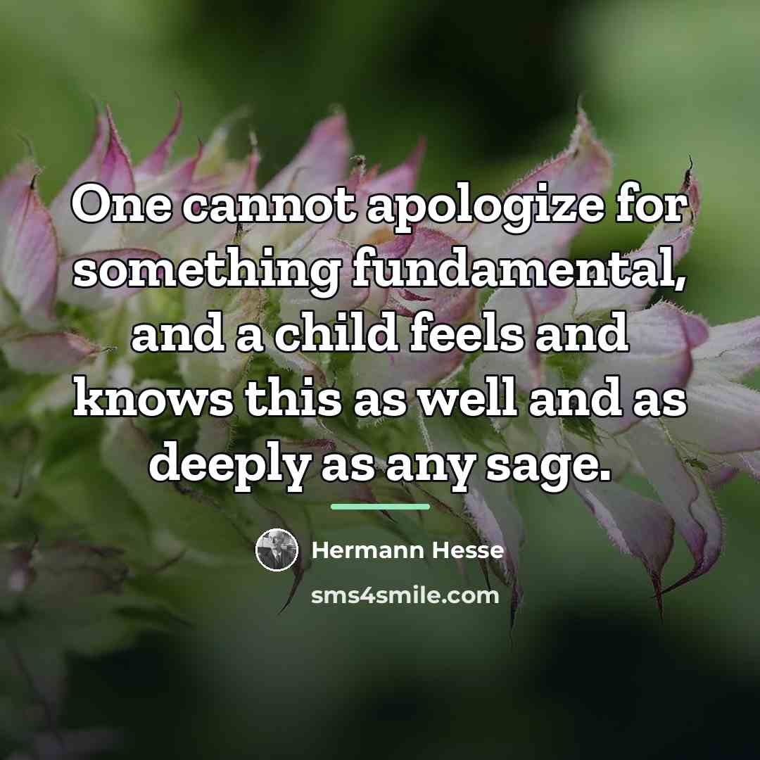“One cannot apologize for something fundamental, and a child feels…” quote by Hermann Hesse