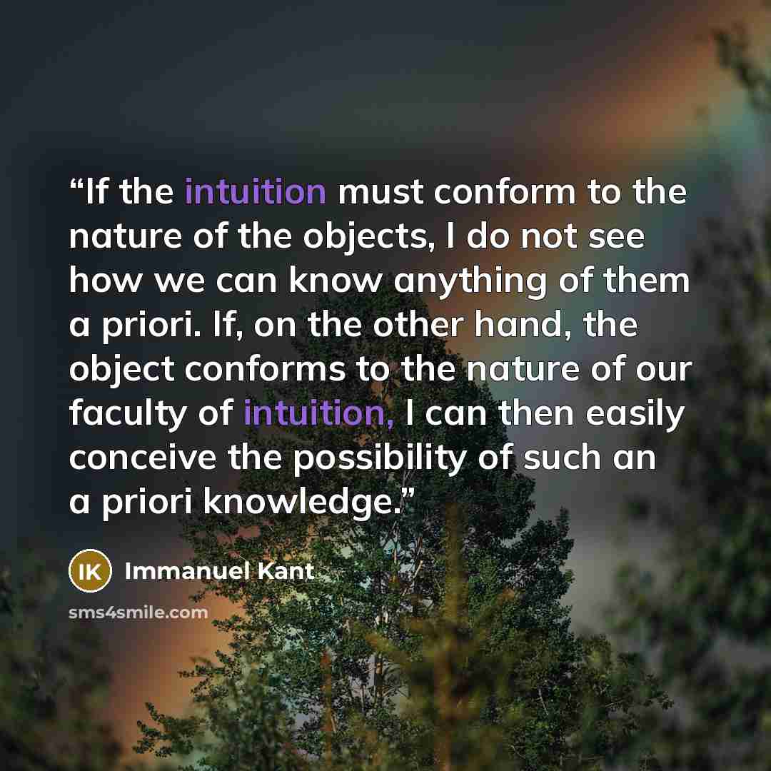 “If the intuition must conform to the nature of the objects, I do not see how we can know anything of them a priori. If, on the other hand, the object conforms to the nature of our faculty of intuition, I can then easily conceive the possibility of such an a priori knowledge.” quote by Immanuel Kant